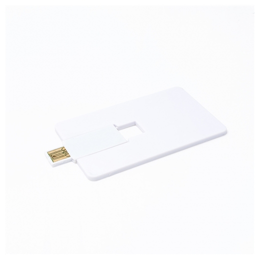USB STICK MASLINA